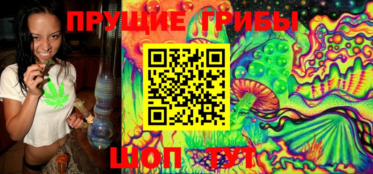 Галлюциногенные грибы Psilocybe  Вход с VPN  Улан-Удэ  Галлюциногенные грибы GOLDEN TEACHER 